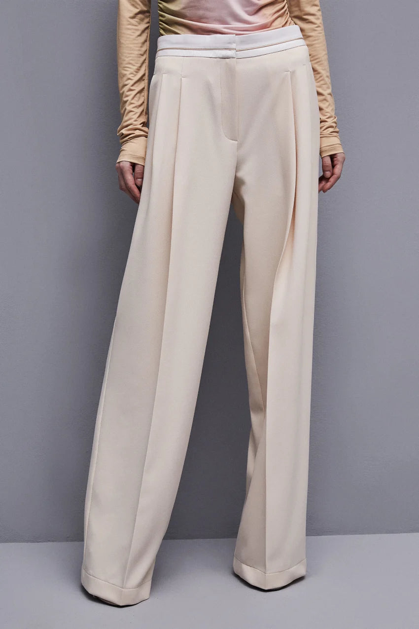 Palazzo Pants In Technical Pant