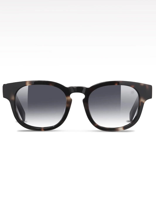 Roma Sunglasses Havana