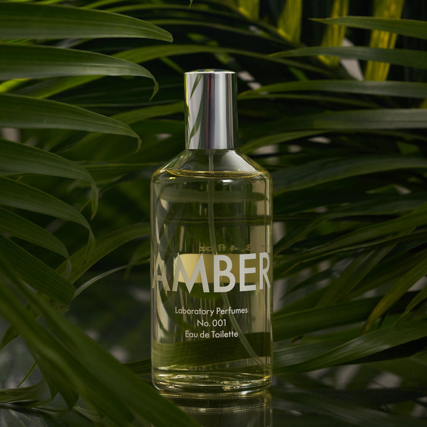 Amber 100ML Perfume
