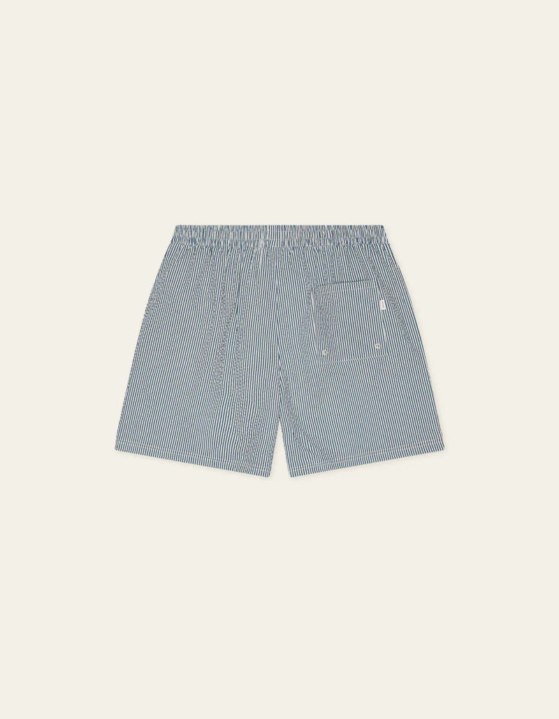 Stripe Seersucker Swim Shorts