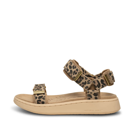 Line Suede Leopard