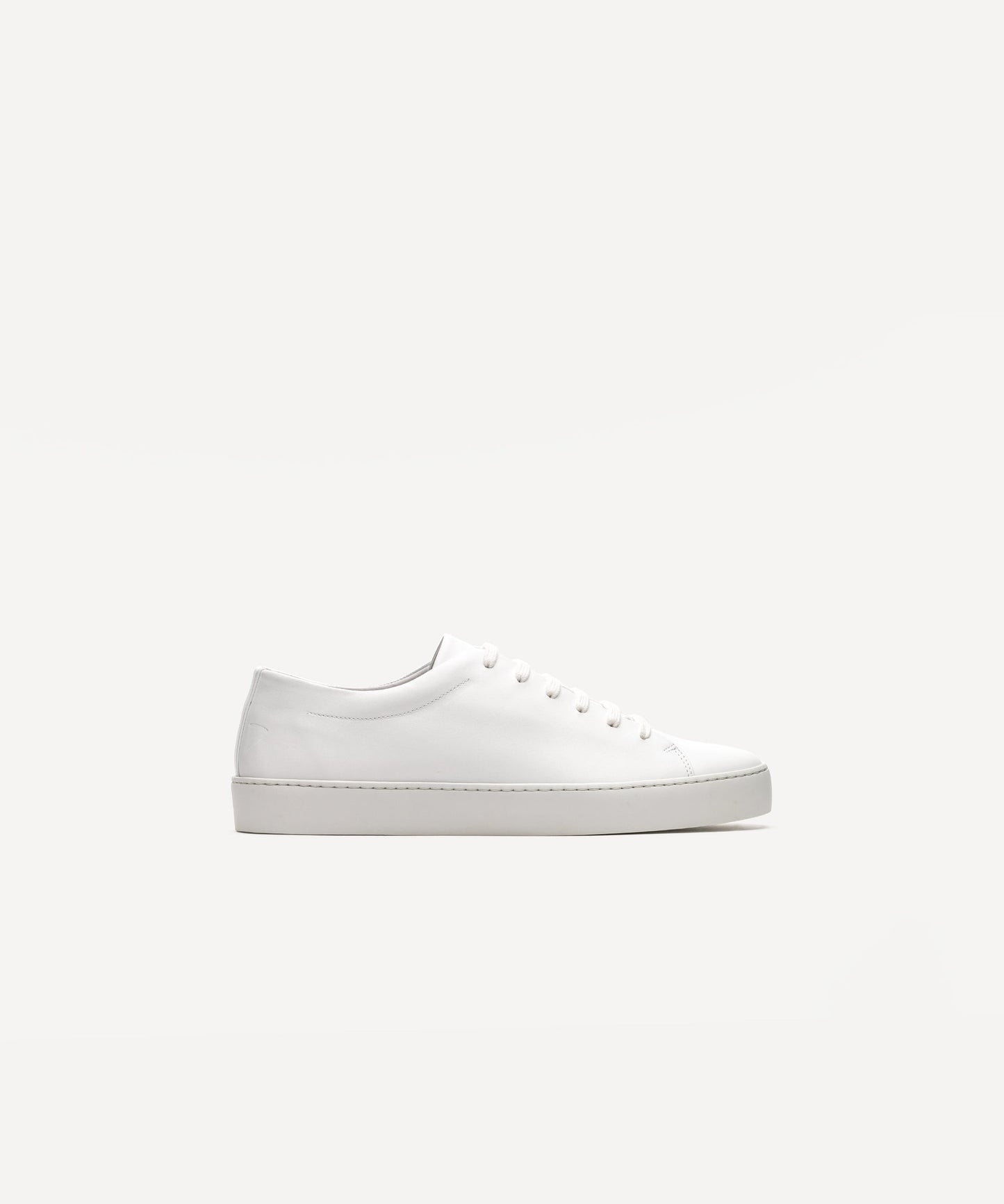 Royal Sneaker - White