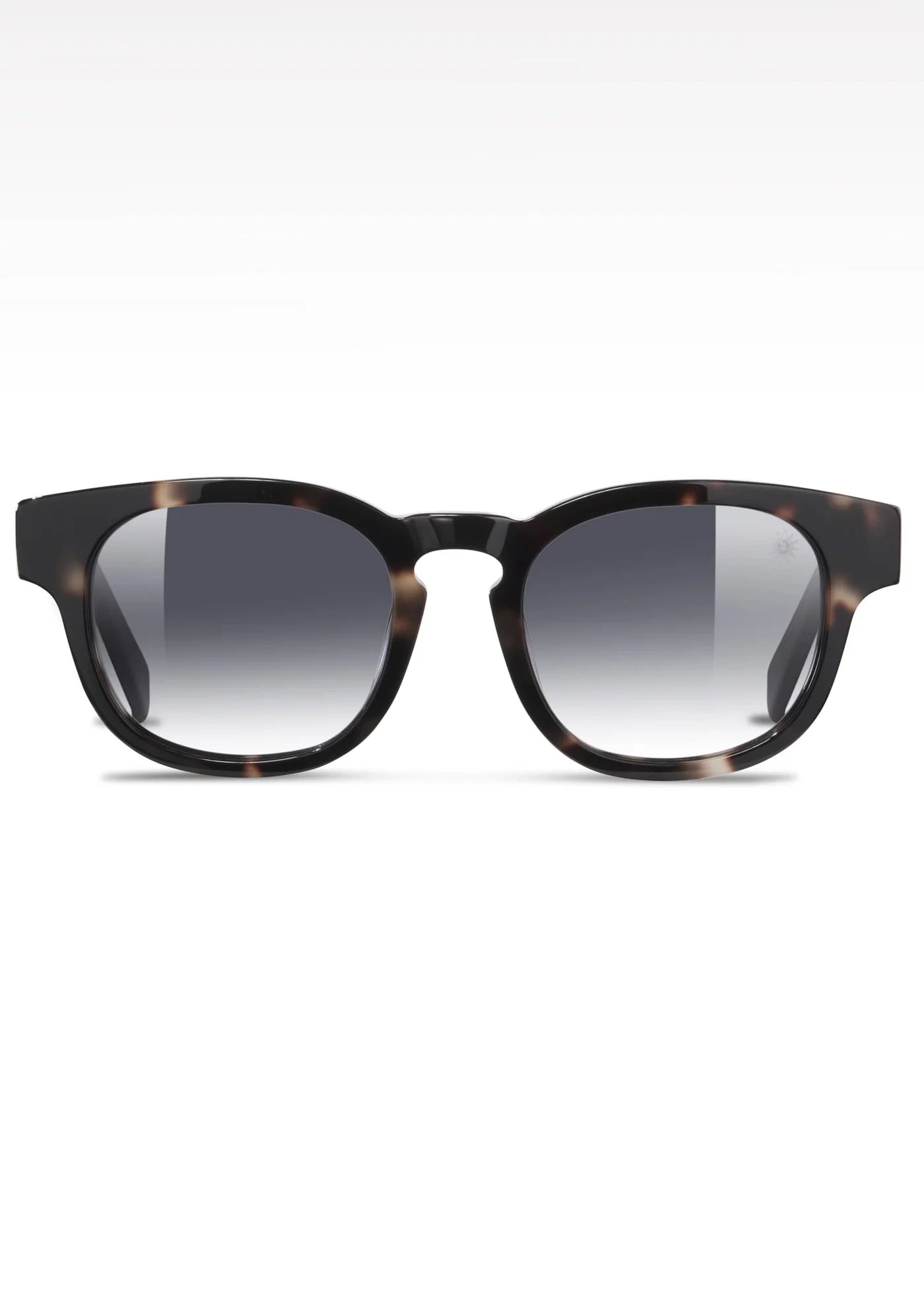 Roma Sunglasses Havana