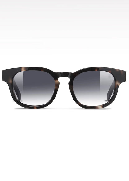 Roma Sunglasses Havana