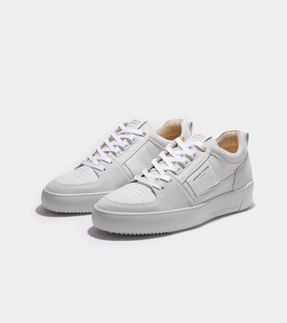 Point Dume Suede/Leather Sneaker