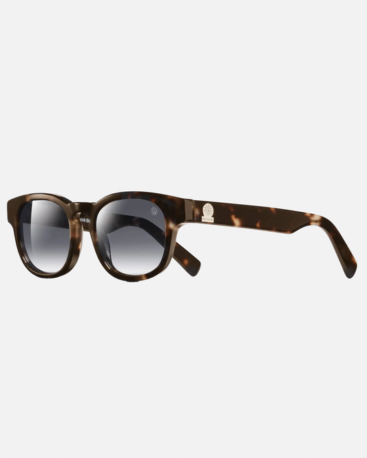 Roma Sunglasses Havana