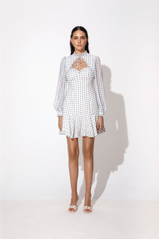 Lucille long sleeve printed mini dress